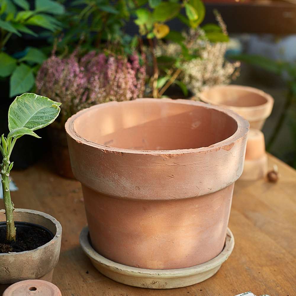 Terracotta underskål Ø: 20 cm